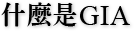 什麼是 GIA